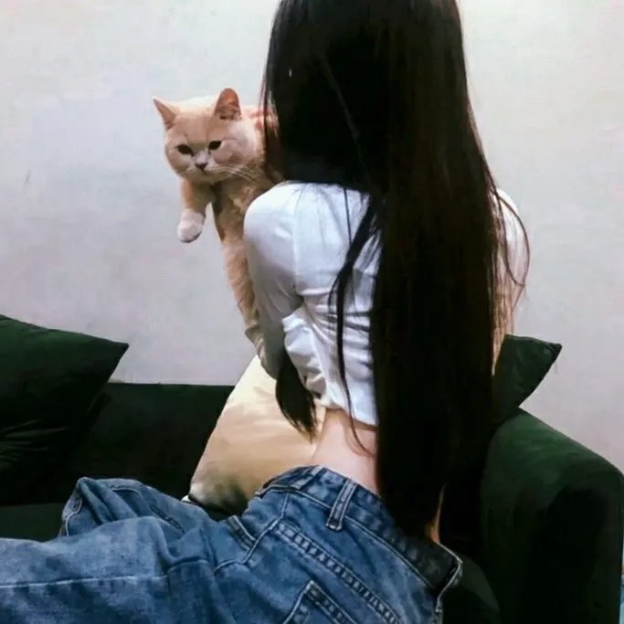 猫城